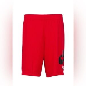 Nike Air Jordan Boys Sportswear Shorts DRI-FI. Size LARGE, NWT
